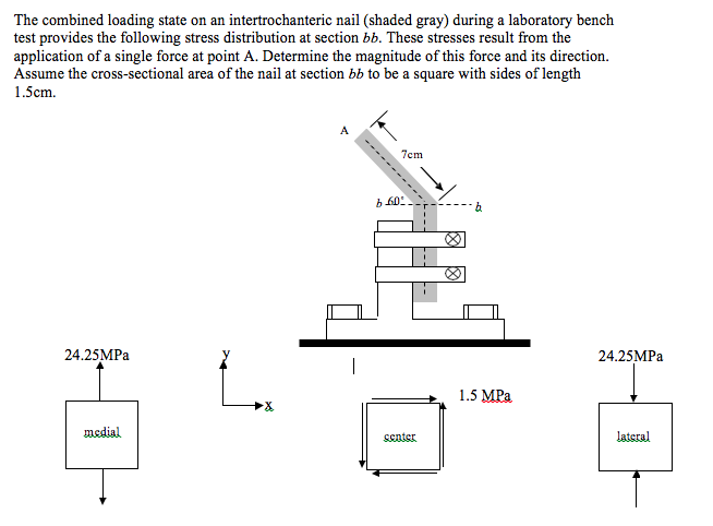 Solved The combined loading state on an intertrochanteric | Chegg.com