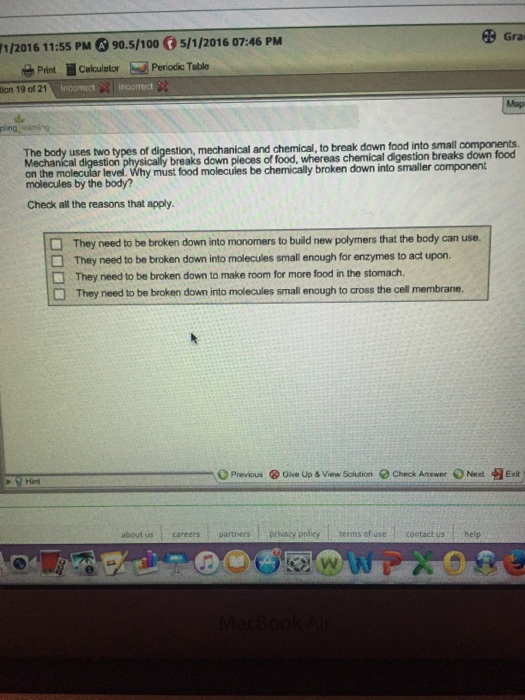 Solved Why Must Food Molecules Be Chemically Broken Down Chegg