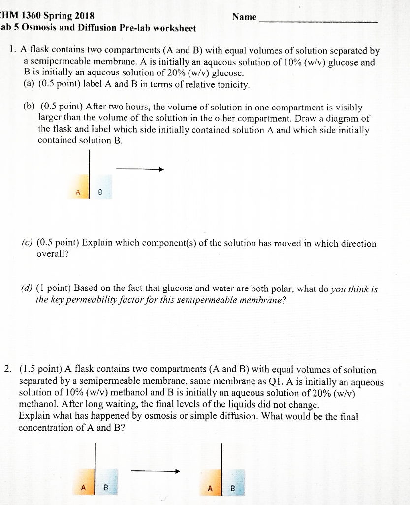Solved HM 1360 Spring 2018 ab 5 Osmosis and Diffusion