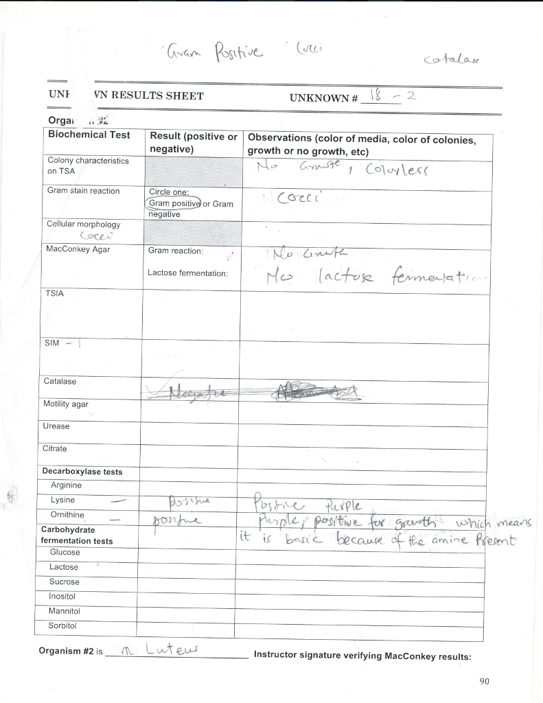 Solved Exercise 26 Identification of Unknown Bacterial