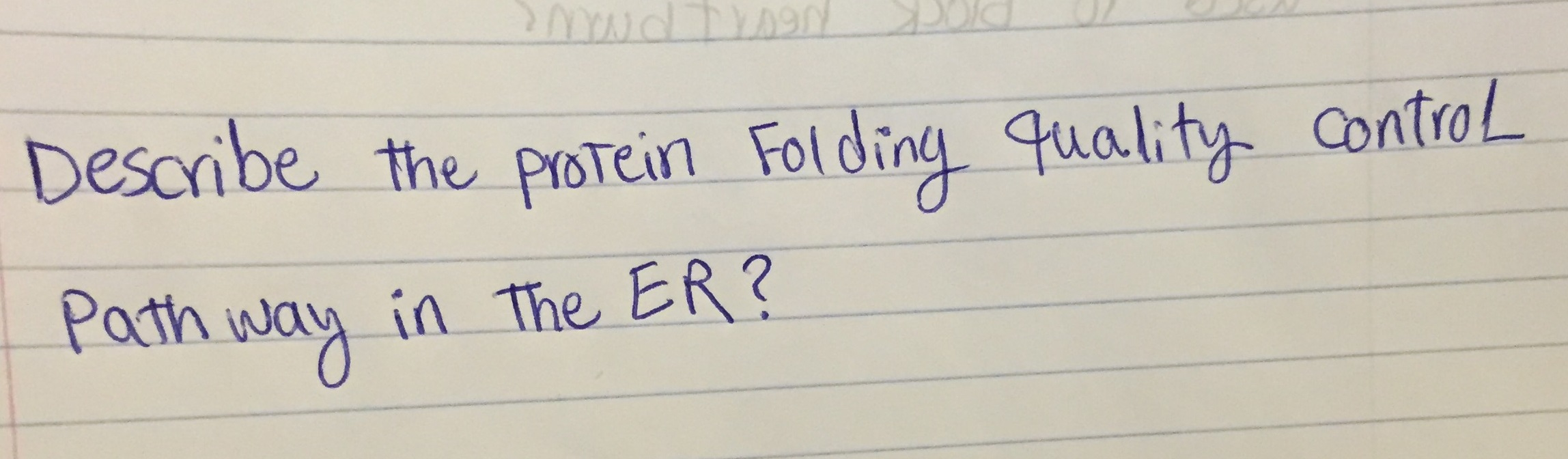 Describe the protein folding quality control path way