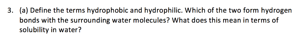 What Does Hydrophilic Mean In Science