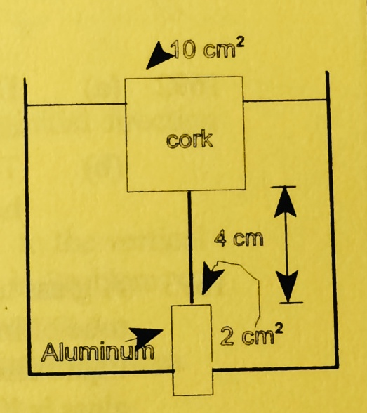 Solved A cylindrical cork of mass 15 grams and cross section