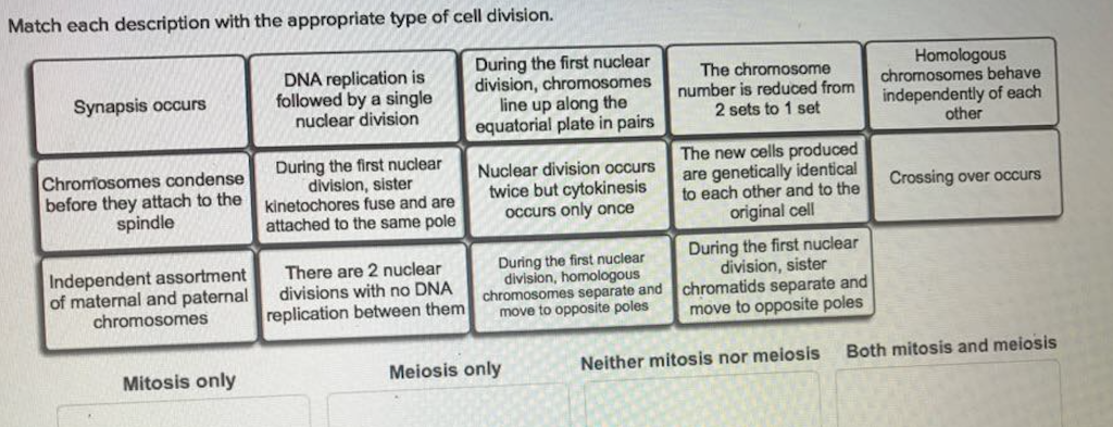 Solved Match each description with the appropriate type of | Chegg.com