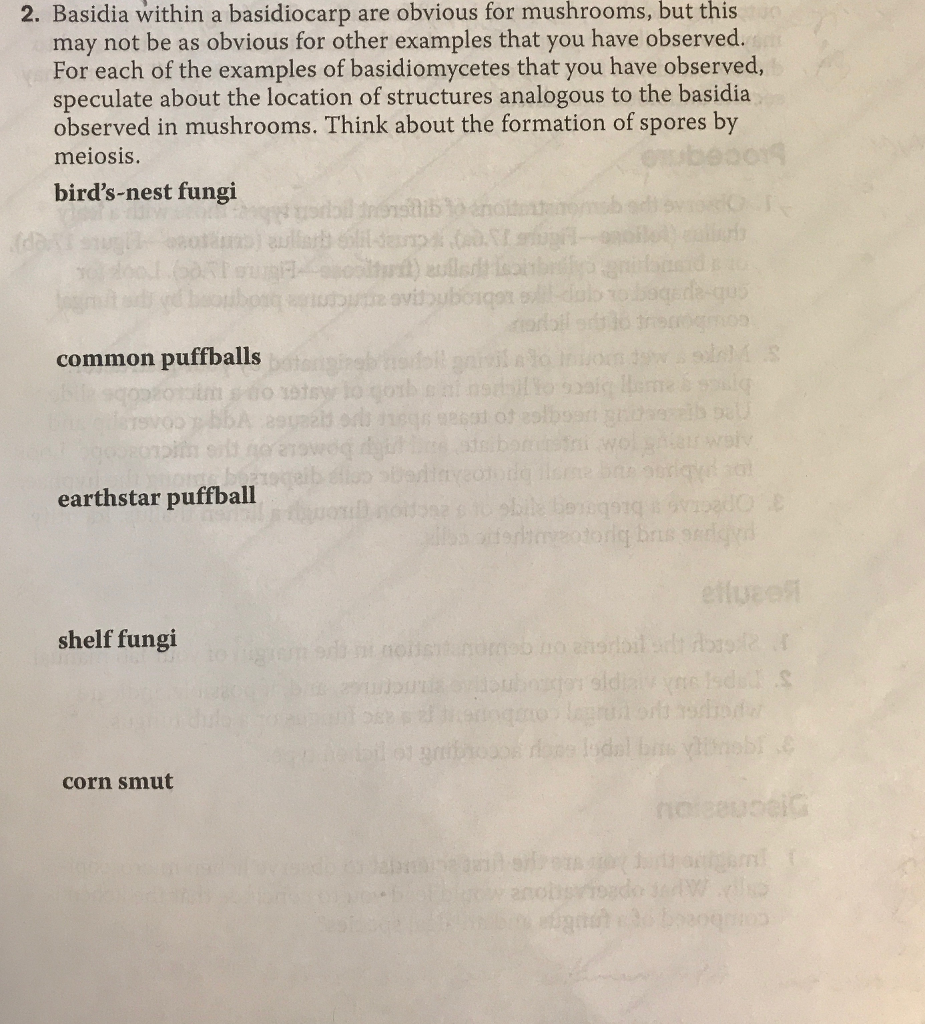 Solved 2. Basidia within a basidiocarp are obvious for | Chegg.com
