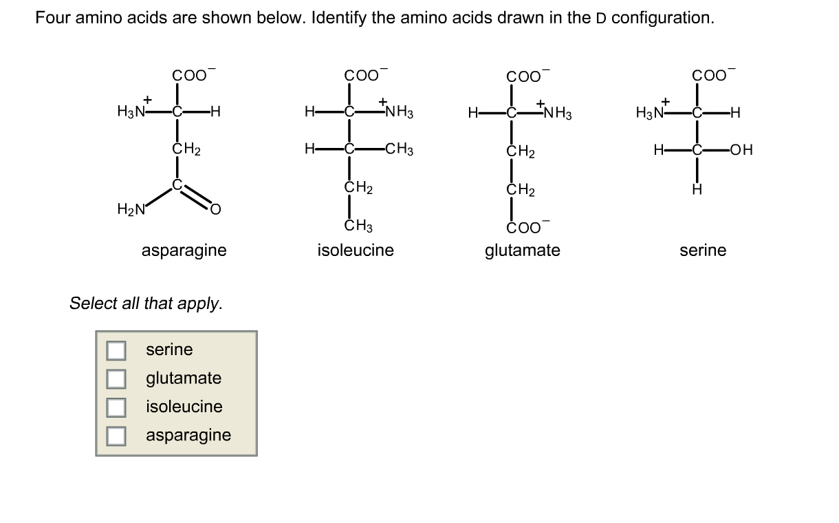 Solved Four amino acids are shown below. Identify the amino