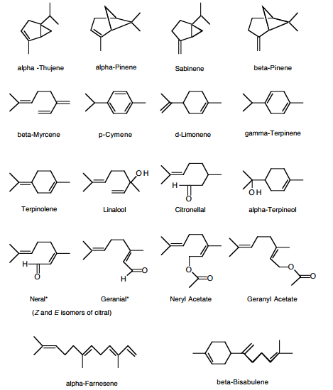 Solved Examine the structures of the eighteen compounds. | Chegg.com