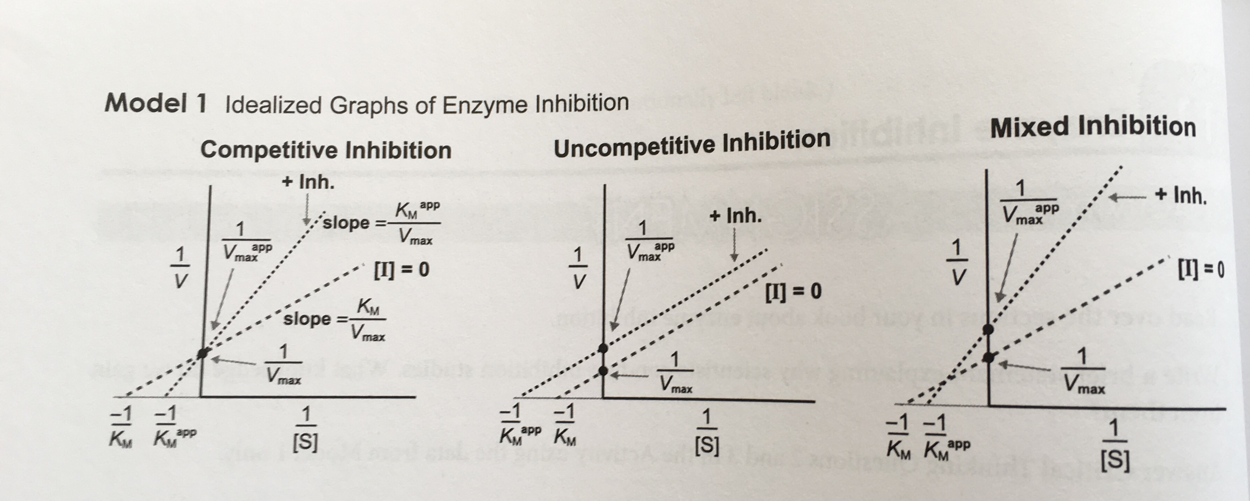 Solved 2) how does the value of V max for the enzyme compare