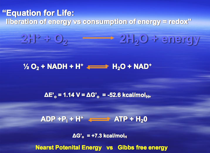 Solved Given The Equation For Life” 2h O2 → 2h2o2