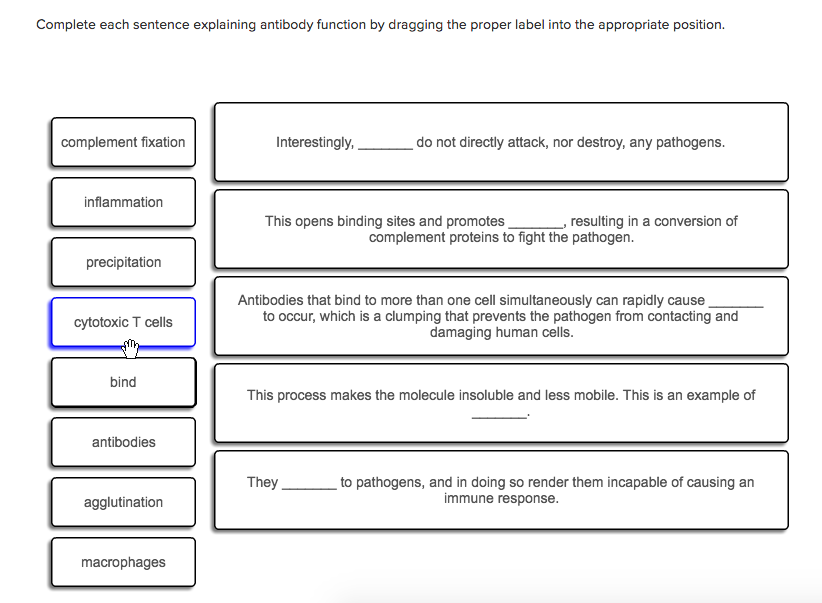 solved-complete-each-sentence-explaining-antibody-function-chegg