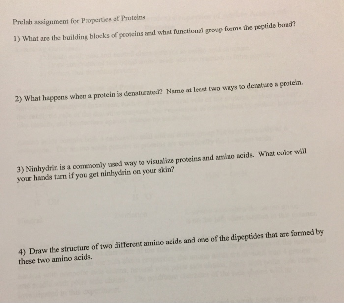 Solved What are the building blocks of proteins and what