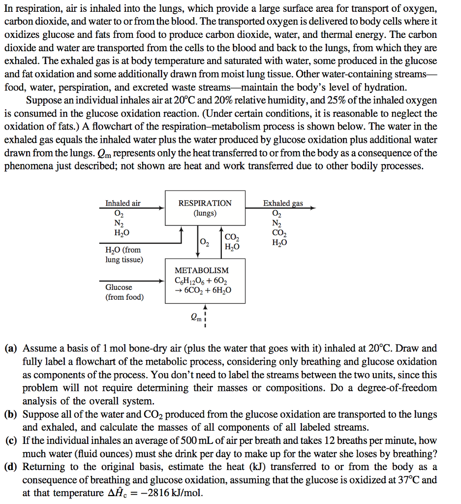In respiration, air is inhaled into the lungs, which
