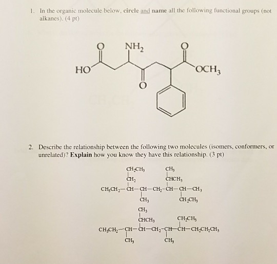 Solved 1. In the organic molecule below, circle and name all | Chegg.com