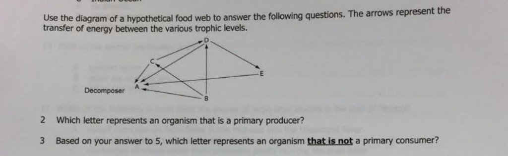 Solved Use the diagram of a hypothetical food web to answer | Chegg.com