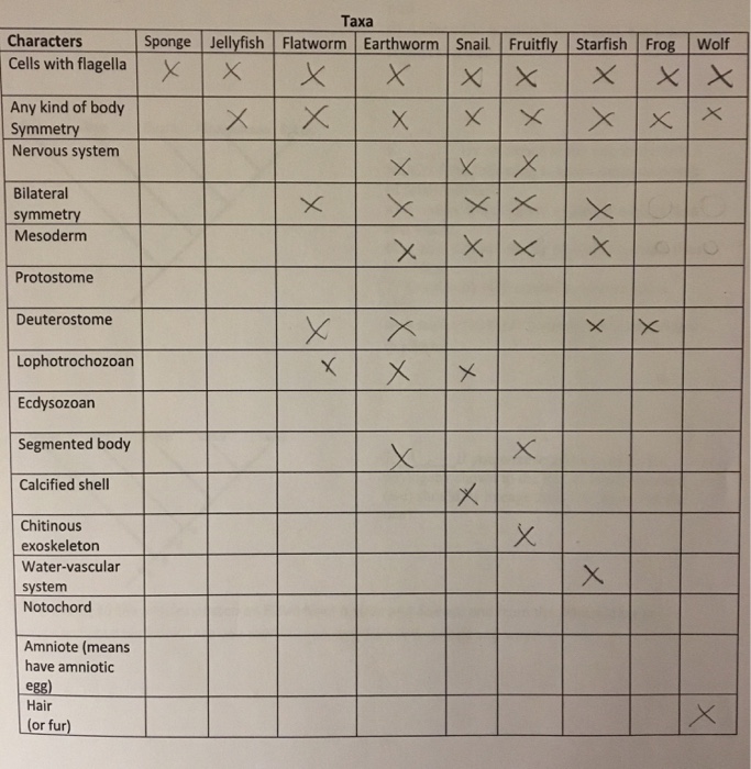 Solved Fill out the table below by placing an X in the box