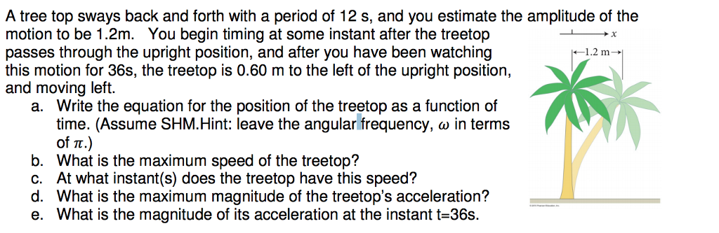 Solved A Tree Top Sways Back And Forth With A Period Of 12 Chegg