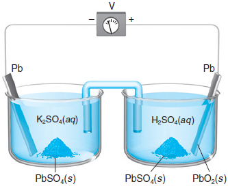 Solved Cell line notation: First Cell Half Reaction: | Chegg.com