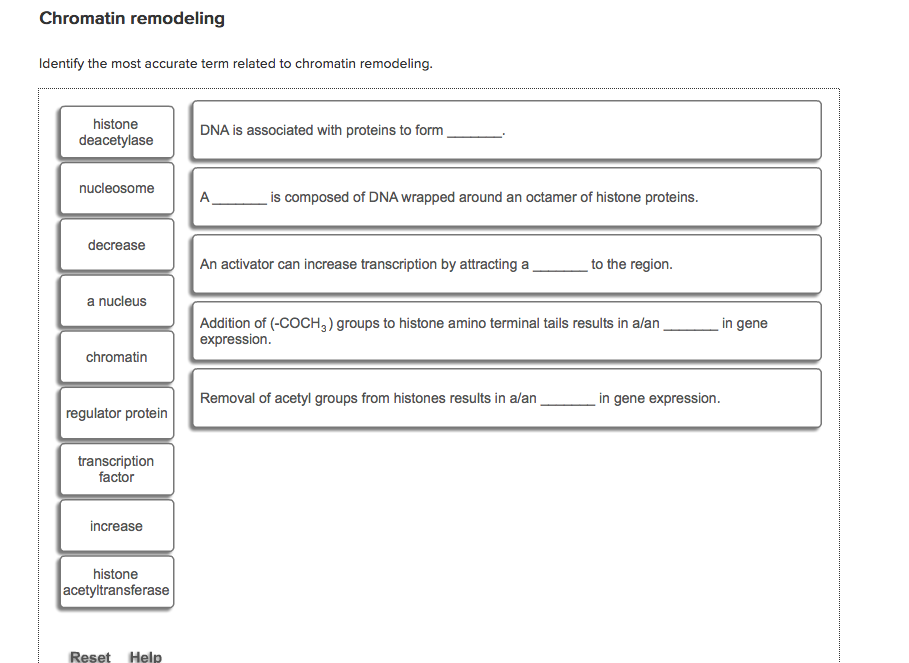 Solved Identify the most accurate term related to chromatin | Chegg.com