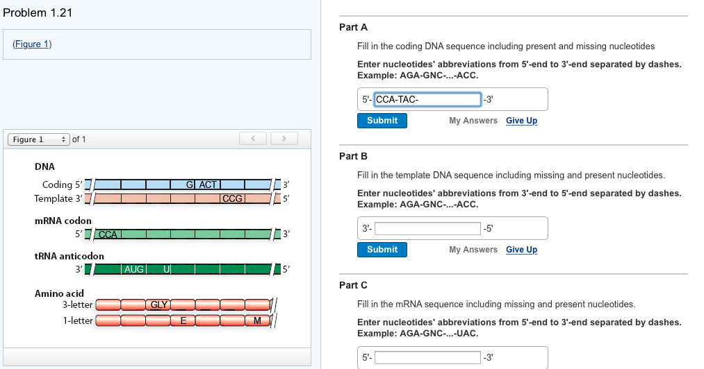 Solved Problem 1.21 Part A (Figure 1) Fill in the coding DNA | Chegg.com