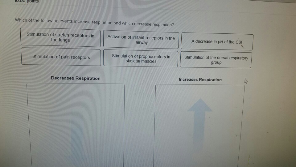 Solved Which of the following events increase respiration | Chegg.com