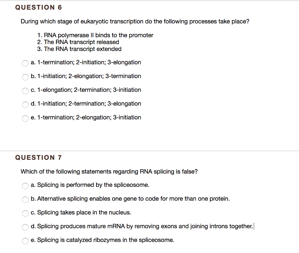 Solved QUESTION 6 During which stage of eukaryotic | Chegg.com