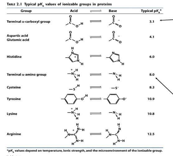 Solved What is the net charge of this pentapeptide at pH | Chegg.com