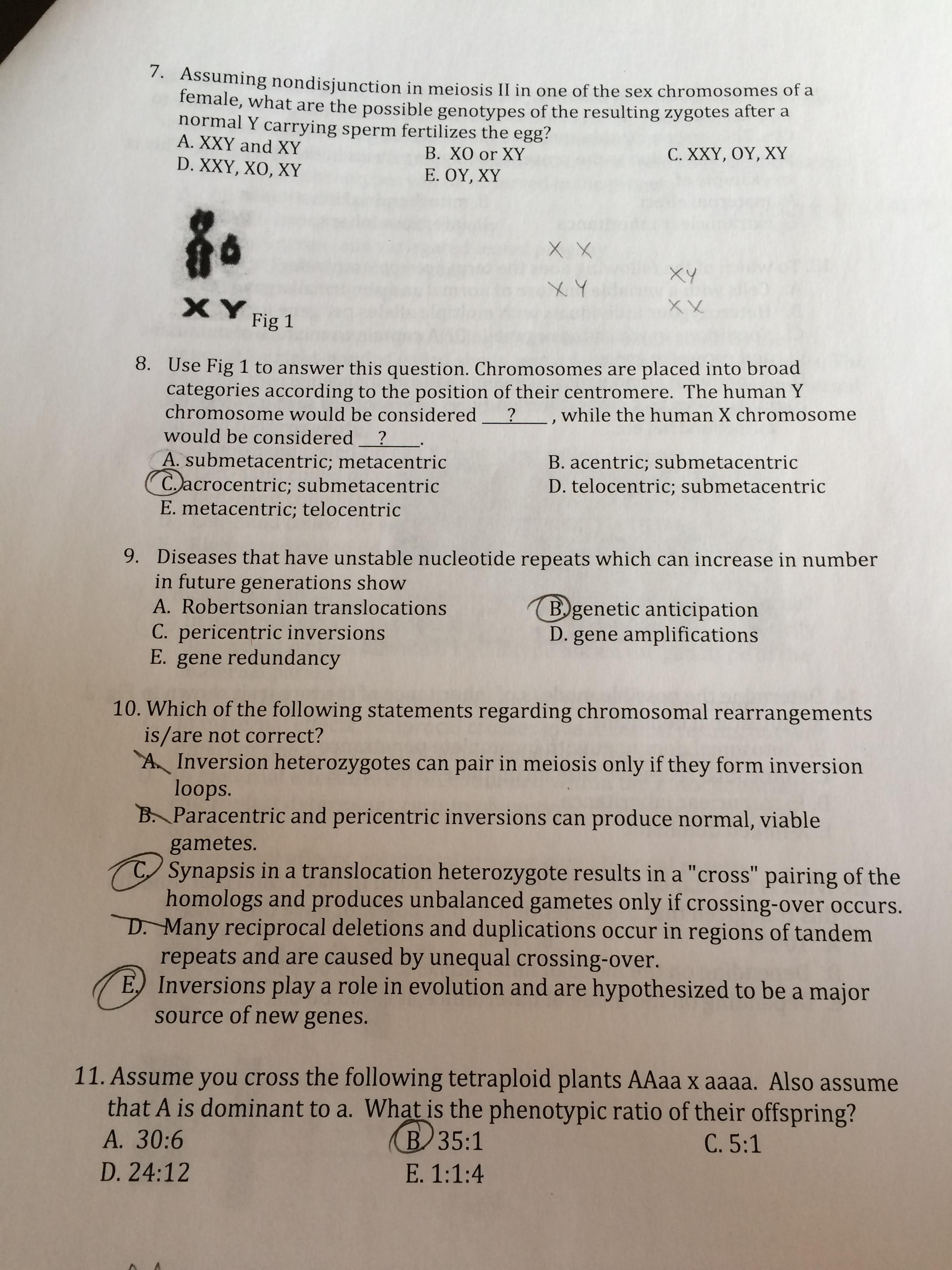 Solved Assuming nondisjunction in meiosis II in one of the | Chegg.com