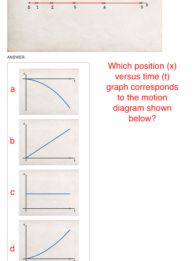 motion graph assignment answer key