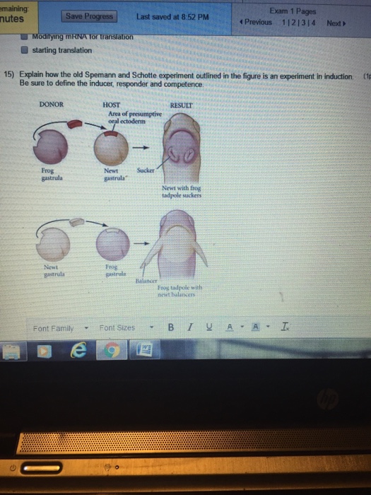 spemann experiment notes