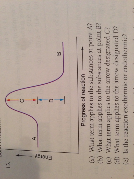 What term applies to the substances at point A? | Chegg.com