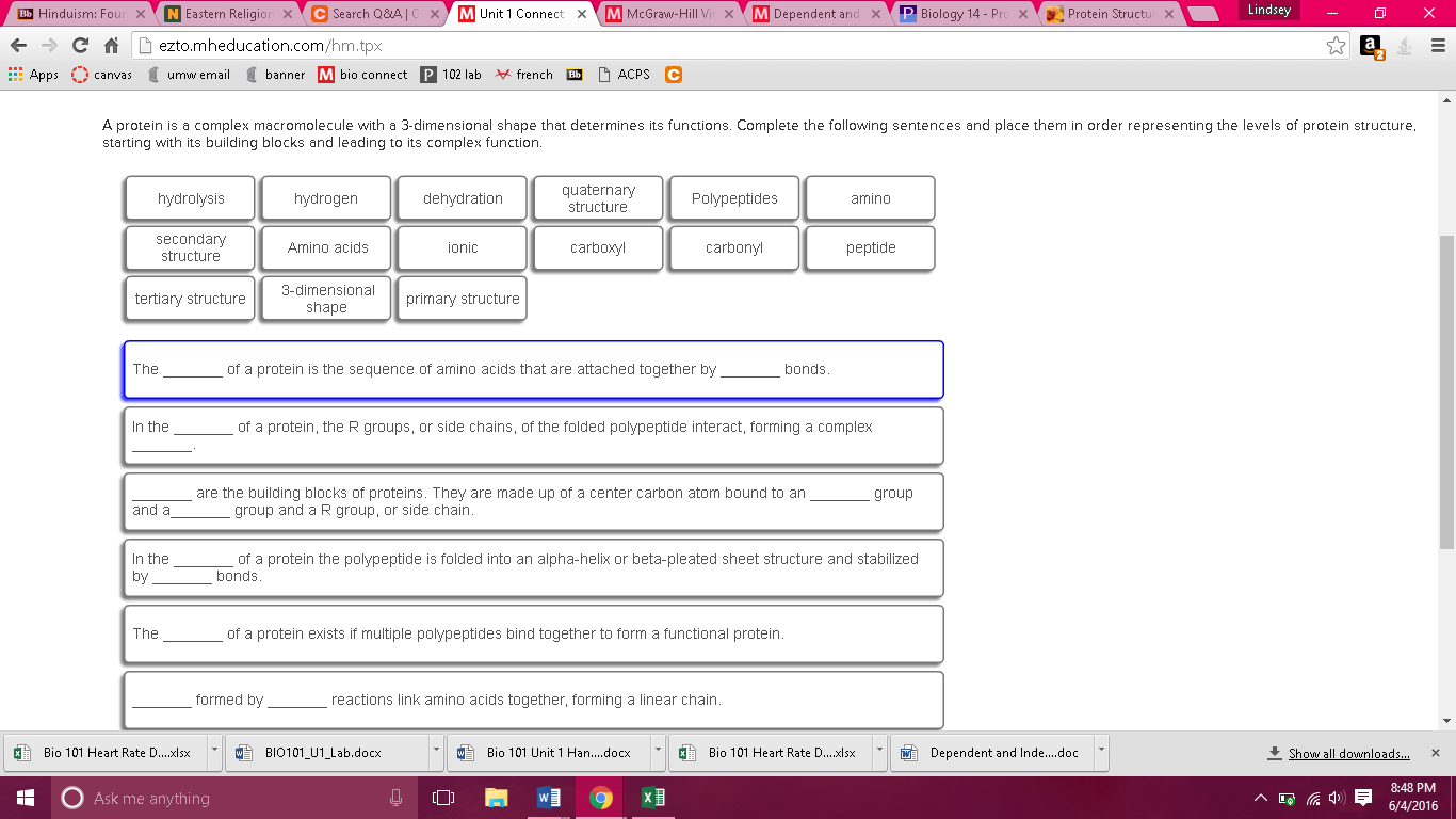 solved-a-protein-is-a-complex-macromolecule-with-a-chegg