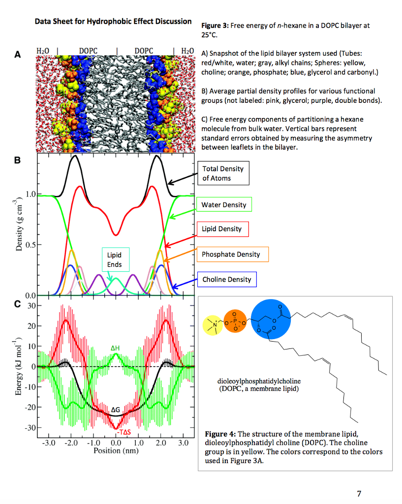 hydrophobic effect entropy