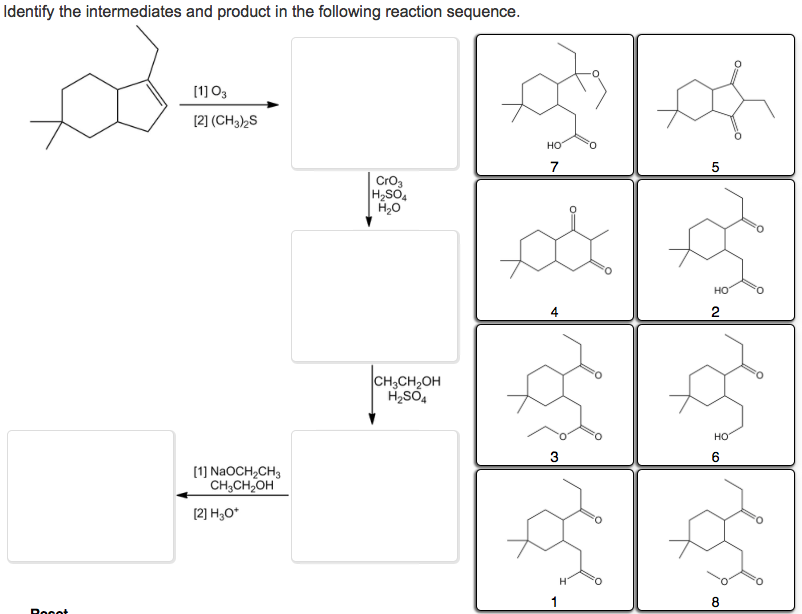 Solved Identify the intermediates and product in the