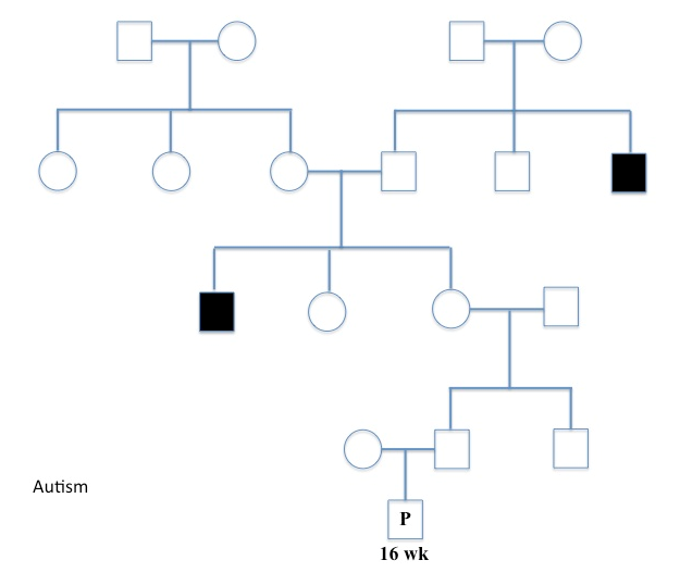 Solved A pedigree of a family with two individuals affected | Chegg.com