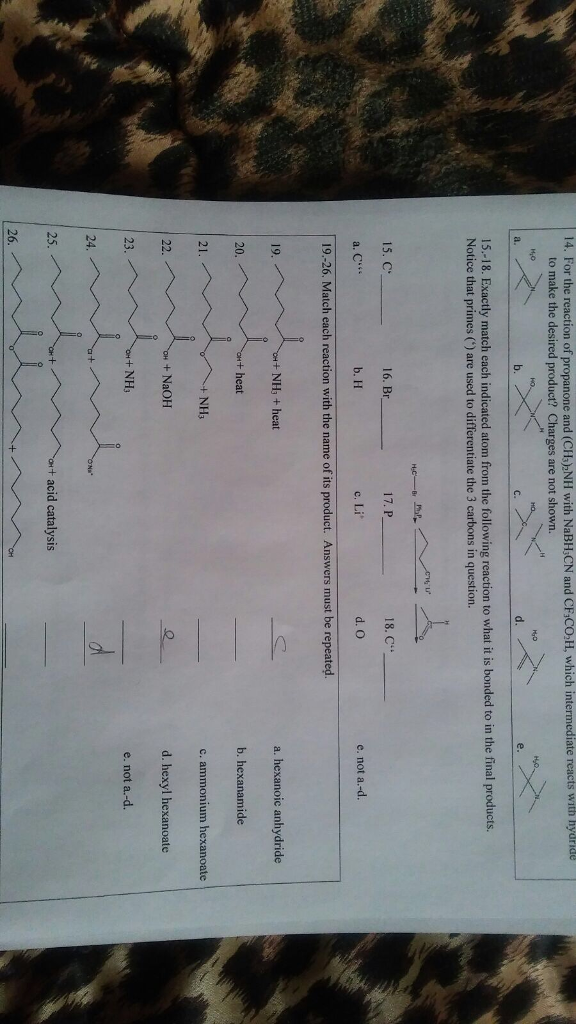 solved-for-the-reaction-of-propanone-and-ch-3-2-nh-which-chegg