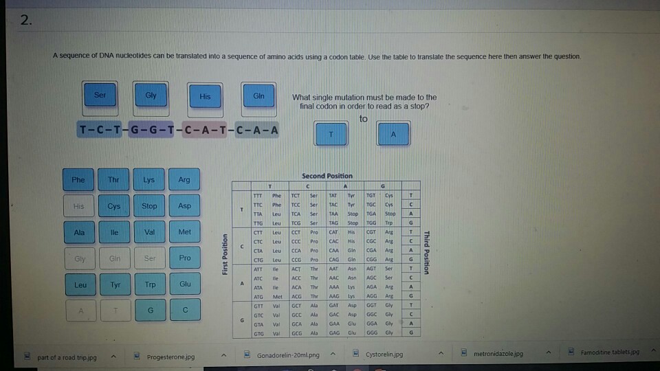 solved-2-a-sequence-of-dna-nucleotides-can-be-translated-chegg