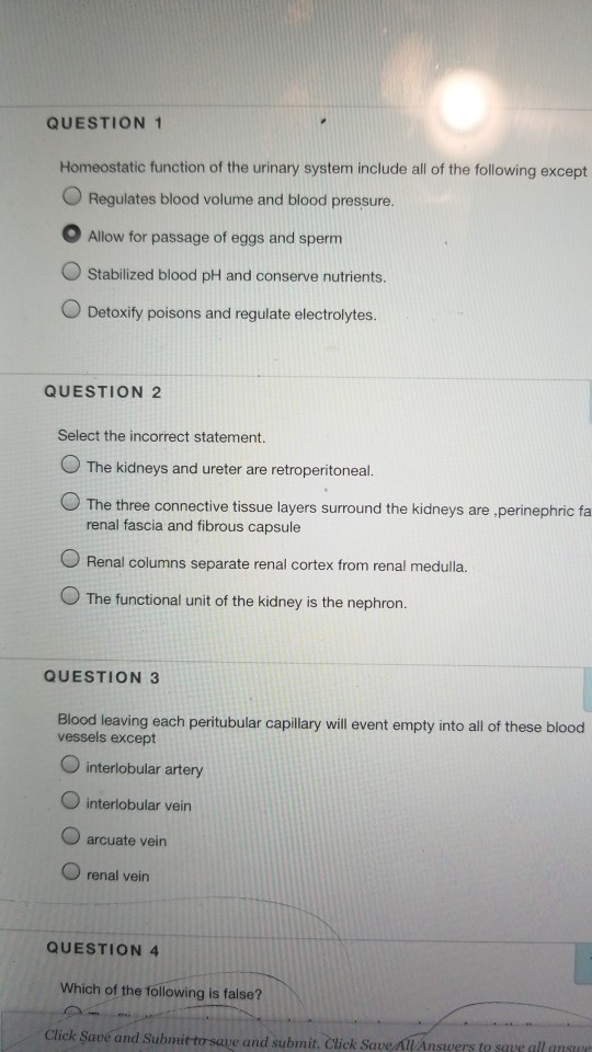 Solved question 1 homeostatic function of the urinary system chegg