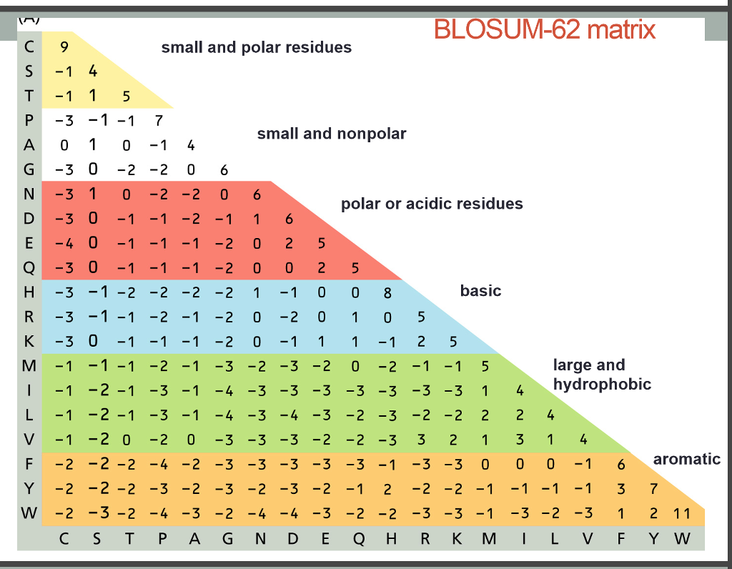 Consider The Alignments Below Of The Sequences | Chegg.com