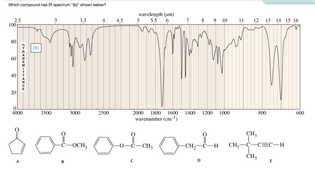 Solved Which Compound Has Ir Spectrum B Shown Below 