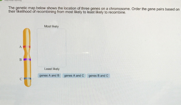 Solved The genetic map below shows the location of three | Chegg.com