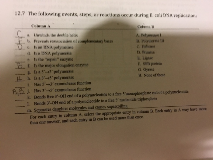 Solved The Following Events, Steps, Or Reactions Occur | Chegg.com