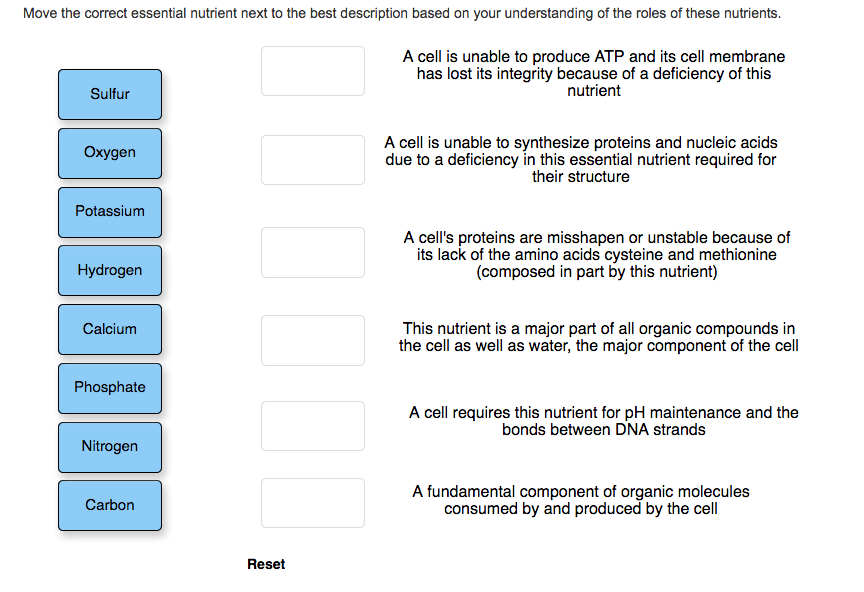 Solved Move the correct essential nutrient next to the best