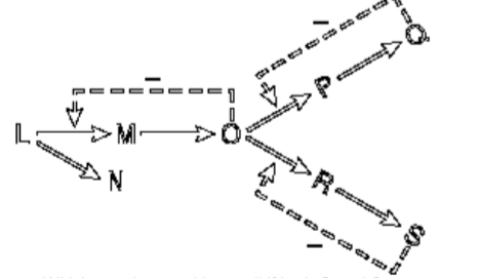 solved-in-the-following-branched-metabolic-pathway-a-dotted-chegg