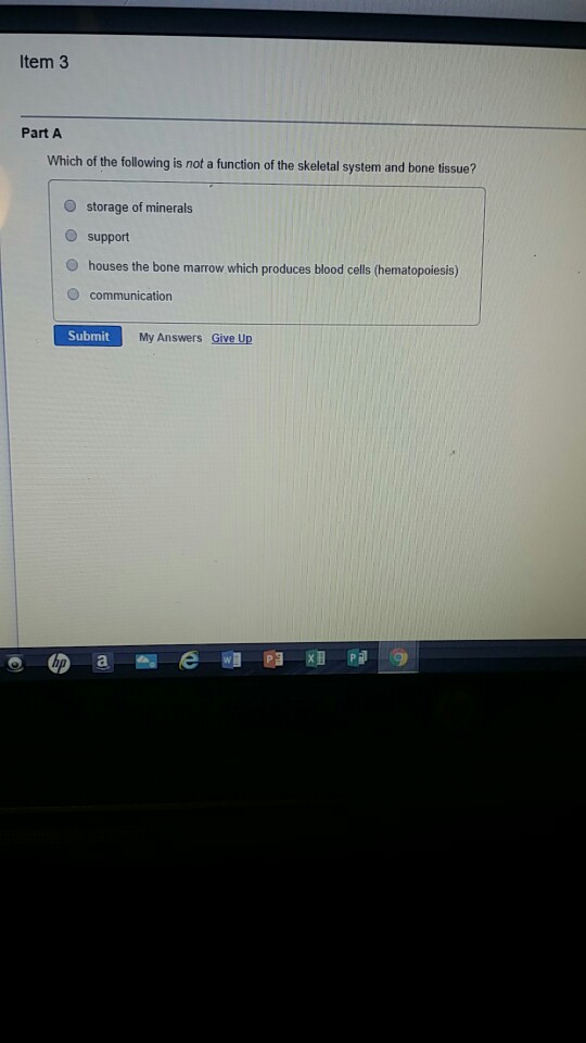 What Is Not A Function Of The Skeletal System? notchmoms
