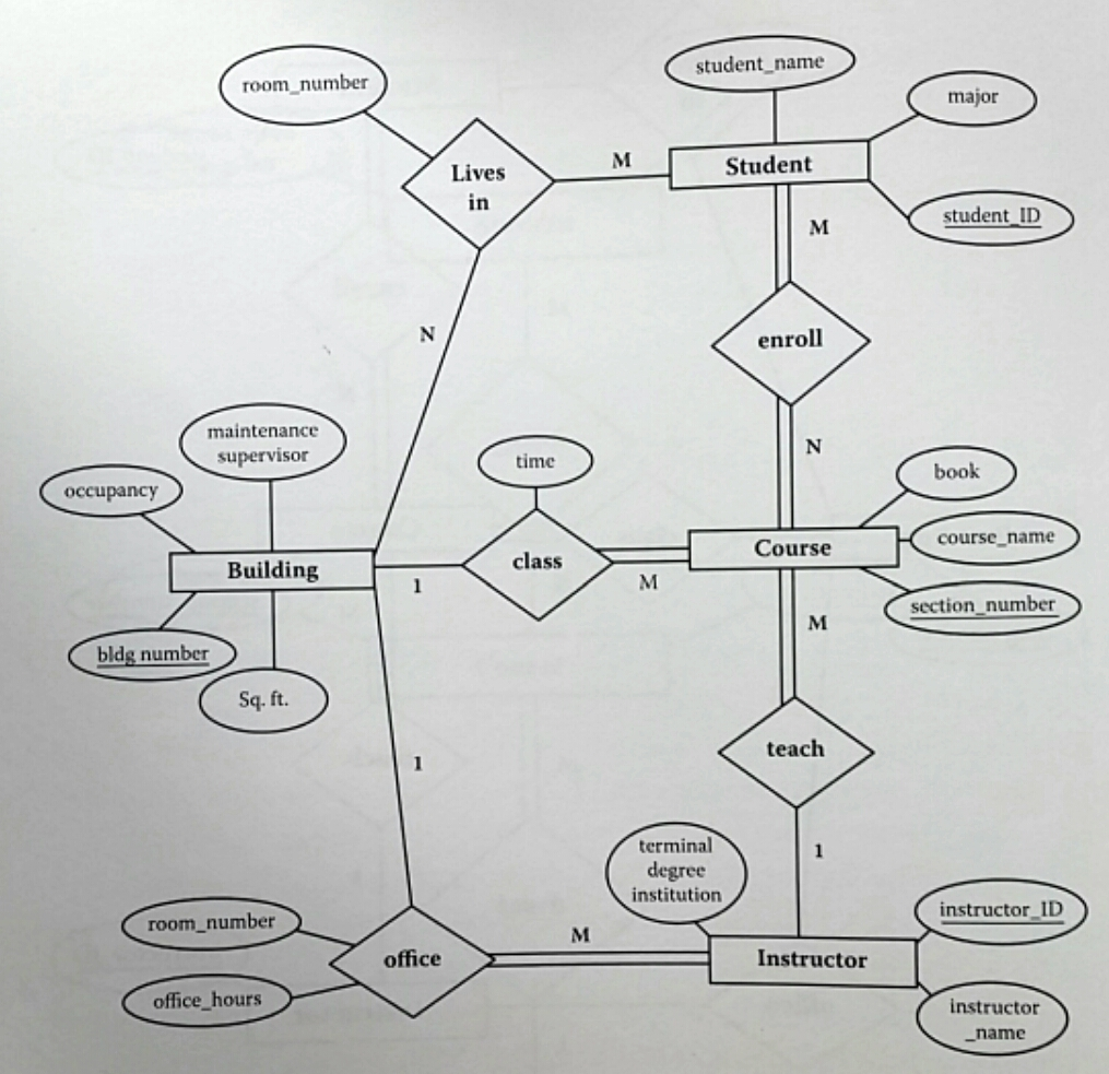 Question Paper Code Entity Chart Solved student name room number major )-나니 Student Lives | Chegg.com