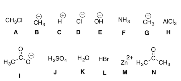 Solved Which of these compounds will act as nucleophiles at | Chegg.com