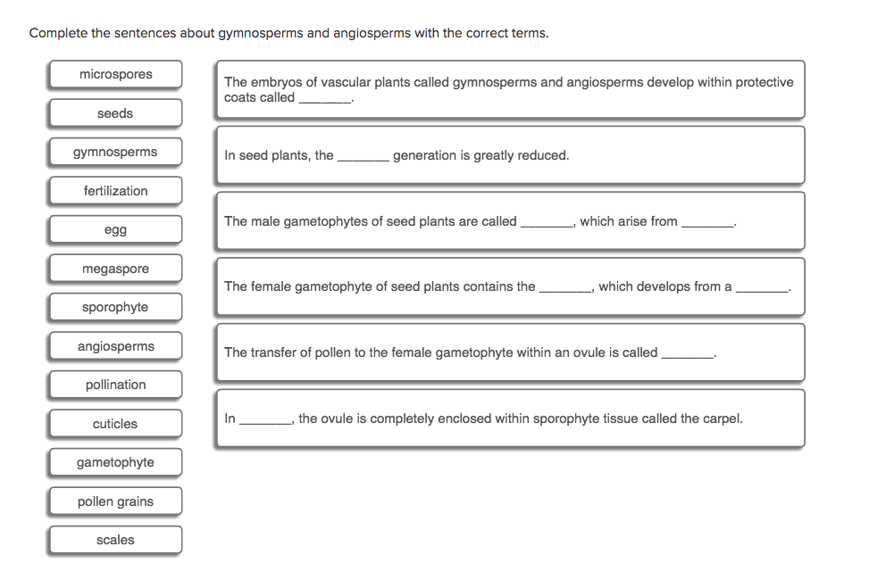 Solved Complete The Sentences About Gymnosperms And 