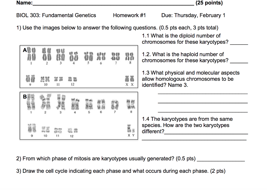 Solved (25 points) Name: BIOL 303: Fundamental Genetics 1) | Chegg.com