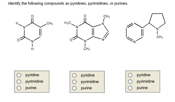Which Of The Following Is Not A Pyrimidine Solved Identify the following compounds as pyridines, | Chegg.com