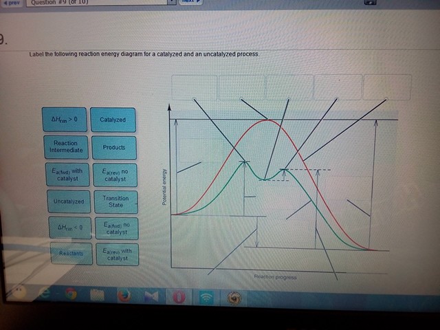 Solved Label the following reaction energy diagram for a | Chegg.com